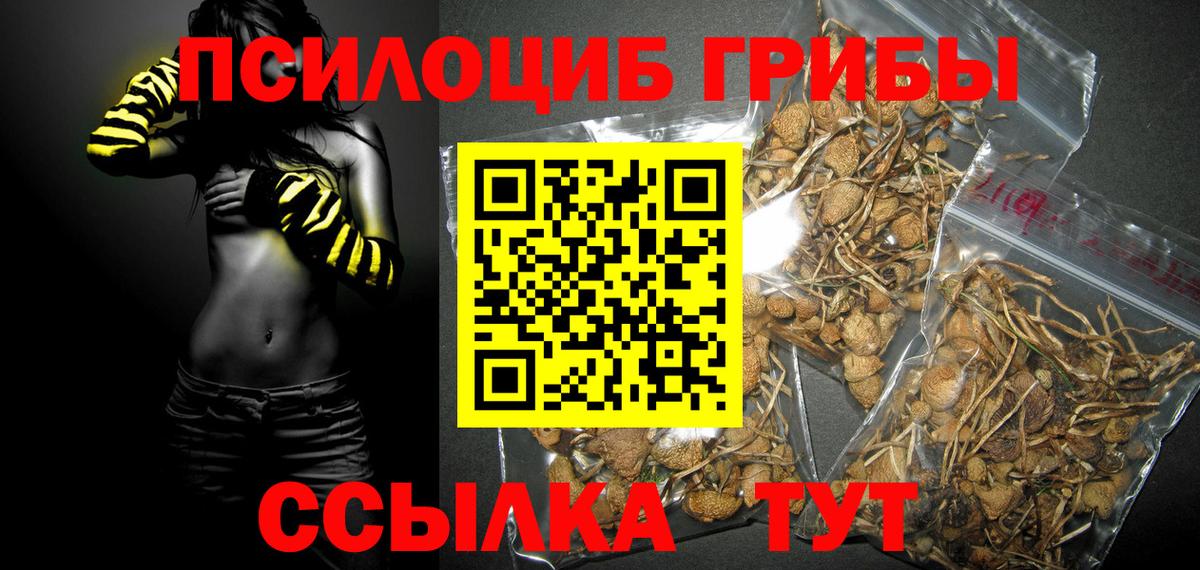 Галлюциногенные грибы Magic Shrooms Артёмовский