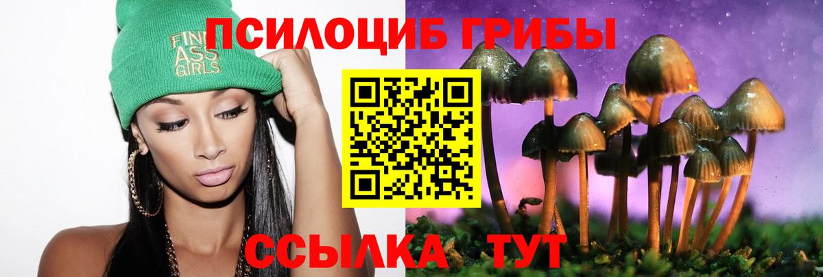 Артёмовский  Псилоцибиновые грибы мухоморы  Вход с VPN 